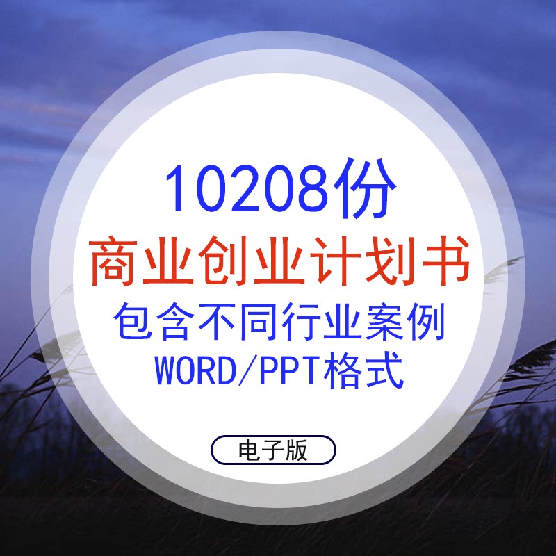 商业计划书案例下载 商业计划书案例设计 商业计划书案例制作 素材 淘宝海外