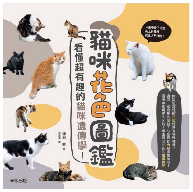 猫咪图鉴哪里买 猫咪图鉴下载 猫咪图鉴意思 用途 淘宝海外