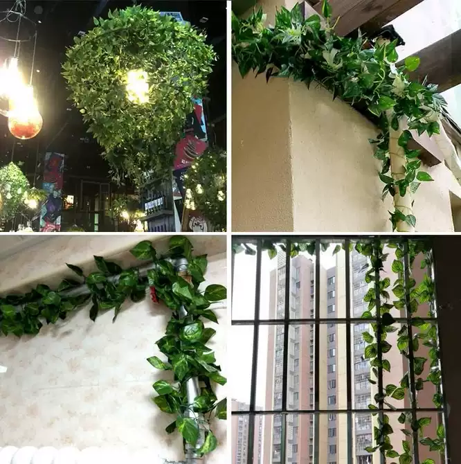 花屋 新人首单优惠推荐 21年3月 淘宝海外