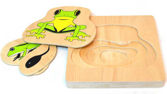 最も人気のある 木成長過程2250 木成長過程イラスト