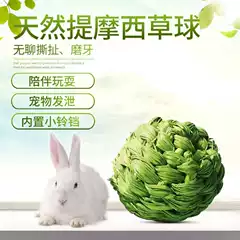 小玉鼠 新人首单立减十元 21年8月 淘宝海外