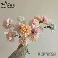 干花染料染色剂 新人首单优惠推荐 21年6月 淘宝海外 干花染料染色剂 新人首单优惠推荐 21年6月 淘宝海外