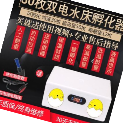 孵出小鸡的蛋 新人首单优惠推荐 21年6月 淘宝海外