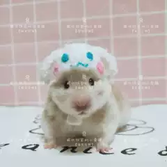 小玉鼠 新人首单立减十元 21年8月 淘宝海外