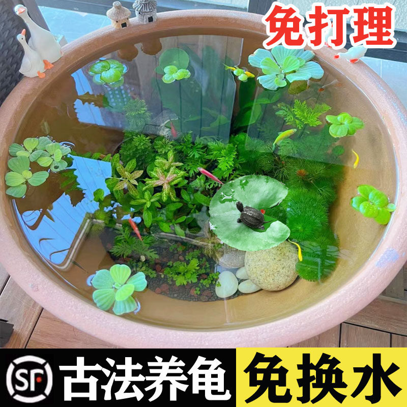 古法乌龟缸超白玻璃别墅生态一体饲养箱大小型造景晒台鱼龟混养缸