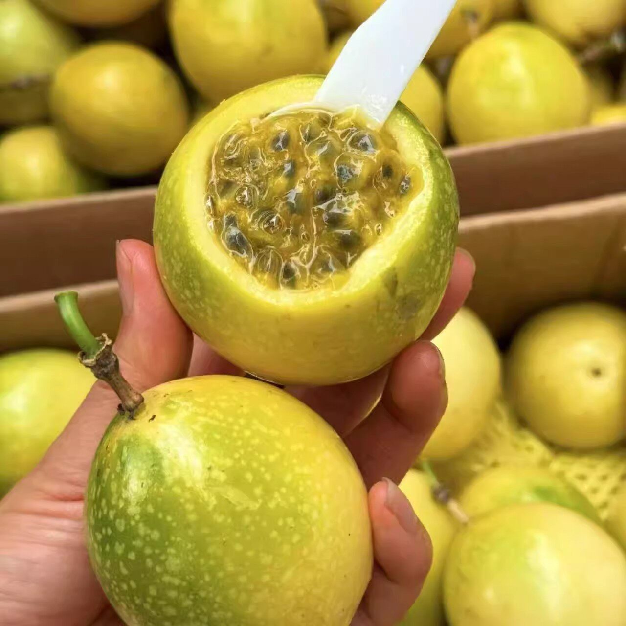 Guangxi Golden Passionfruit 5lb Fresh