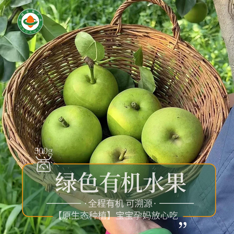 Organic Cuiguan Pear Daily Fresh Pick
