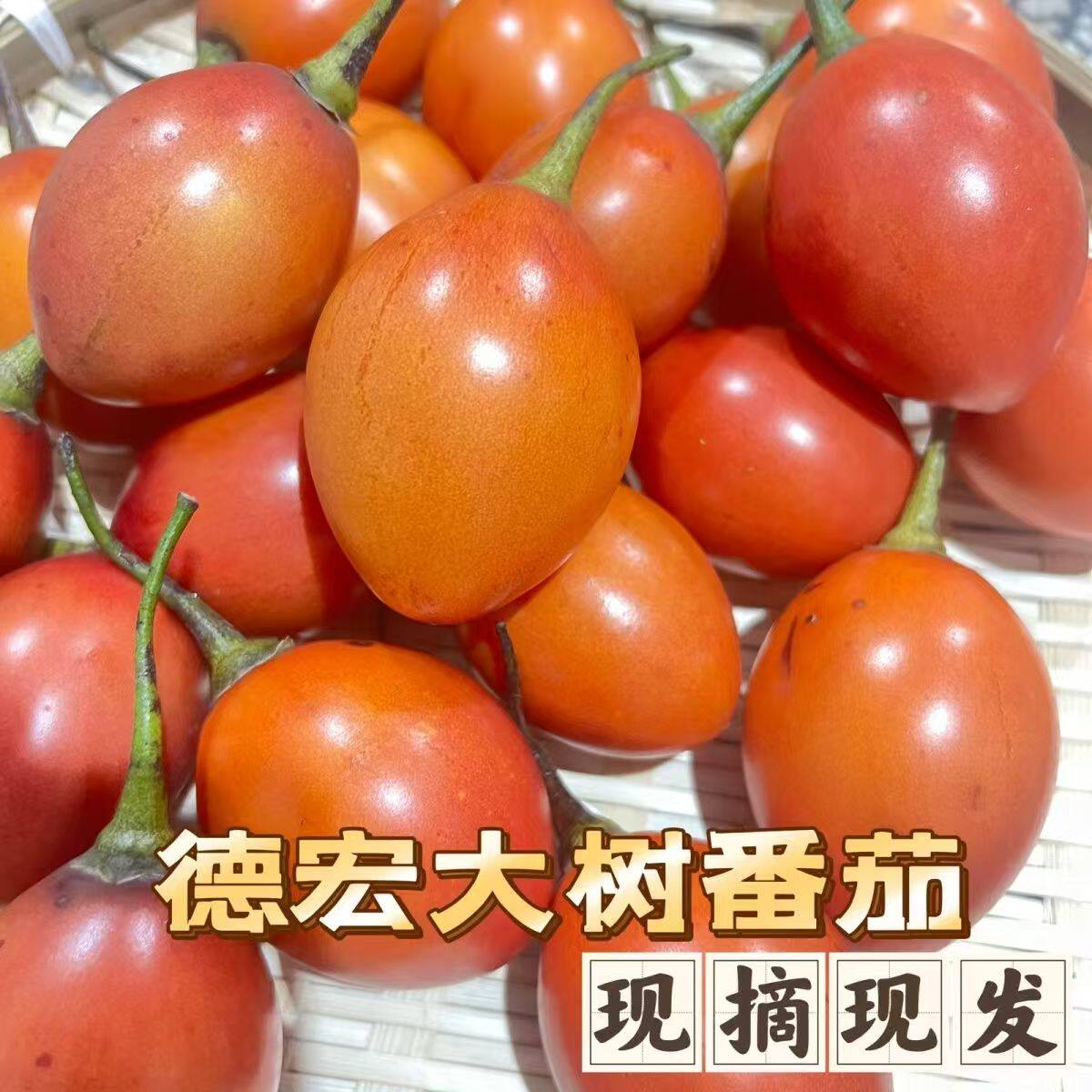 Tree Tomato Yunnan 3lb Fresh Salad