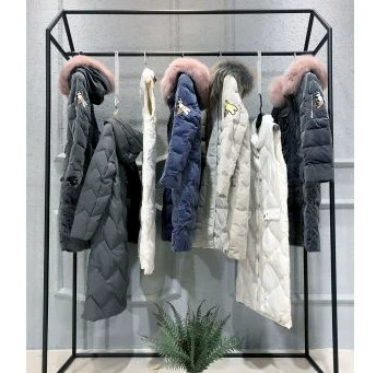 Universal Link College Girl Playful