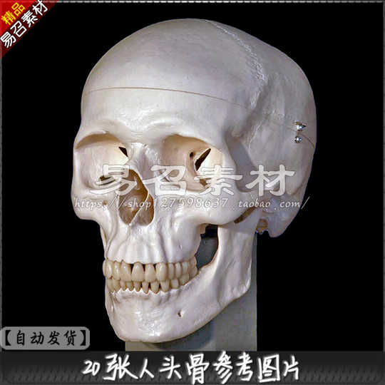 头骨包双十一性价比高品牌选购推荐 淘宝海外