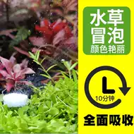 水草用二氧化碳新品 水草用二氧化碳价格 水草用二氧化碳包邮 品牌 淘宝海外