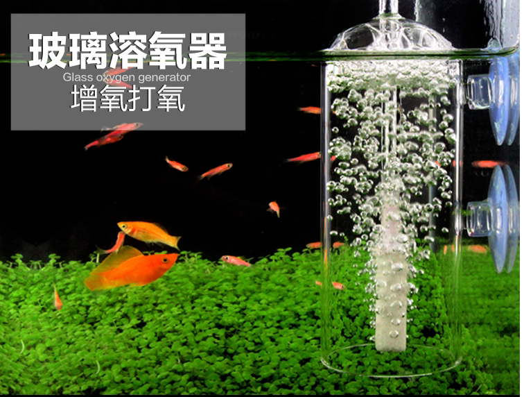 水晶虾缸石新品 水晶虾缸石价格 水晶虾缸石包邮 品牌 淘宝海外