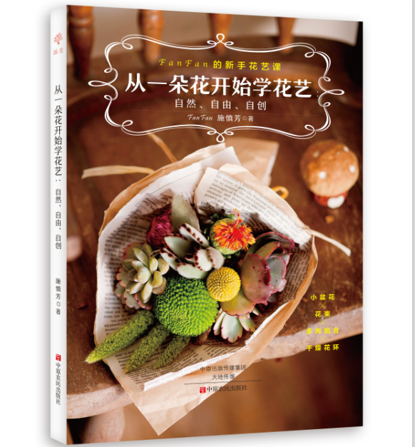 盆栽干燥花 新人首单优惠推荐 21年6月 淘宝海外