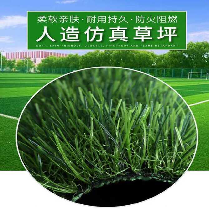 垫草 新人首单优惠推荐 21年3月 淘宝海外