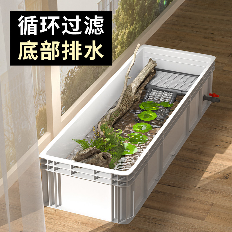 乌龟发色盒养龟繁殖箱微景观生态箱塑料鱼缸龟缸乌龟饲养盒生态瓶