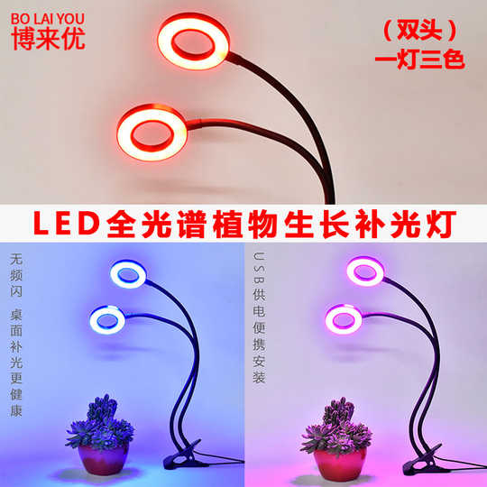 21 多肉植物上色灯人气热卖榜推荐 淘宝海外