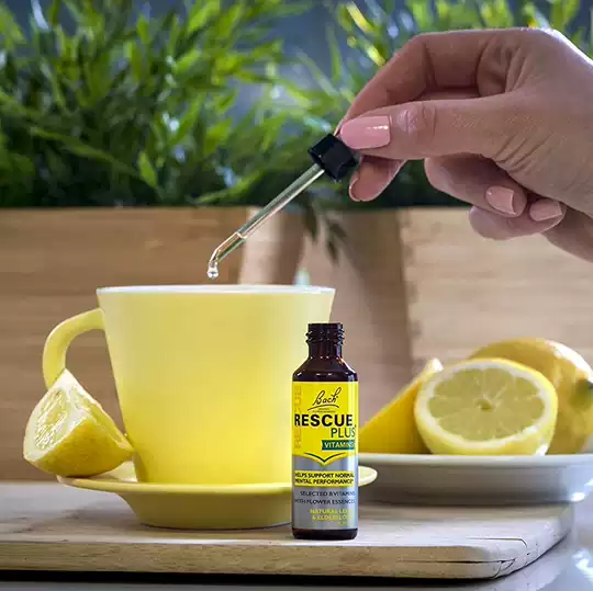 英国面试规范 英国面试评价 英国面试下载 格式 淘宝海外