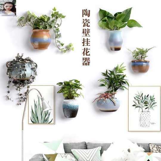 立体多肉花盆diy 立体多肉花盆种植 立体多肉花盆系统 购买 淘宝海外 立体多肉花盆diy 立体多肉花盆种植 立体多肉花盆系统 购买 淘宝海外