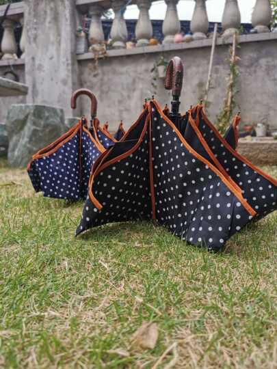 21 波点太阳伞人气热卖榜推荐 淘宝海外