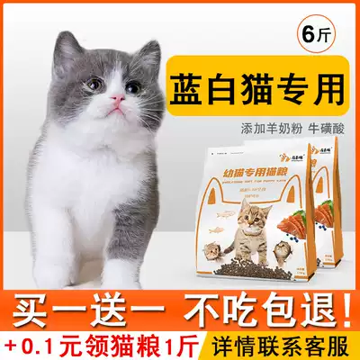 英短蓝白猫 新人首单优惠推荐 21年6月 淘宝海外