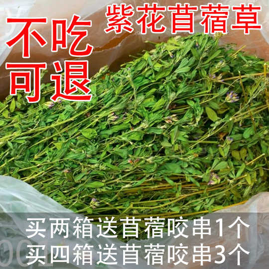 苜蓿草紫花苜蓿草功效 苜蓿草紫花苜蓿草哪里买 苜蓿草紫花苜蓿草种植 价格 淘宝海外