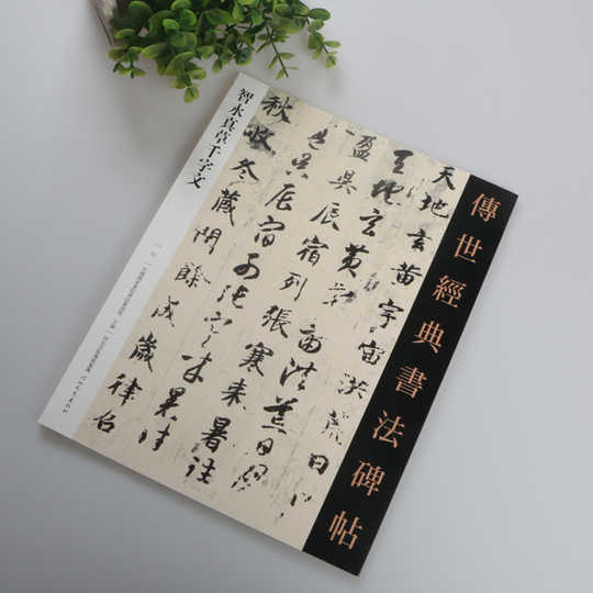 草书对照字帖双十一性价比高品牌选购推荐 淘宝海外