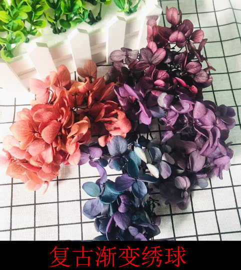 21 紫阳花绣球花人气热卖榜推荐 淘宝海外