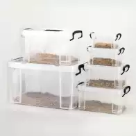 产卵木 新人首单立减十元 21年8月 淘宝海外