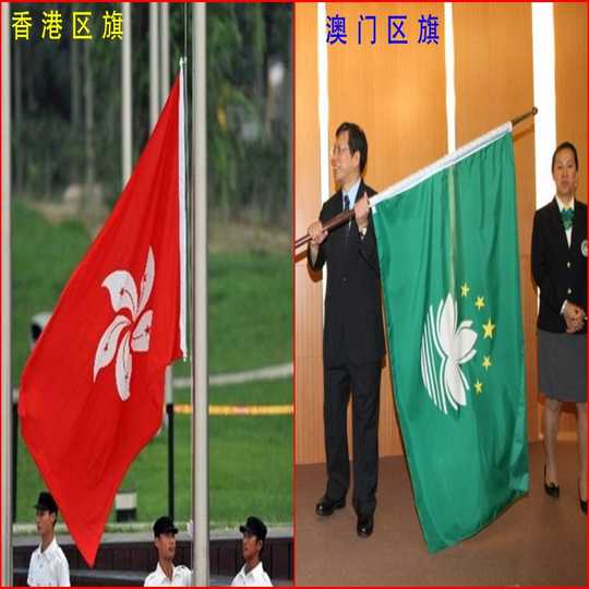 21 香港紫荆花人气热卖榜推荐 淘宝海外