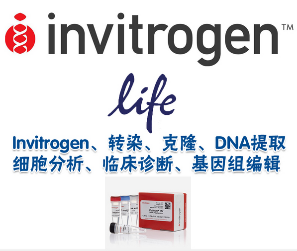 rna提取试剂盒用途 rna提取试剂盒价格 rna提取试剂盒使用方法 作用 淘宝海外