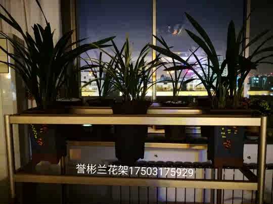 室内花架悬挂 新人首单优惠推荐 21年3月 淘宝海外