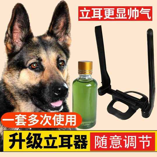 21 犬立耳器人氣熱賣榜推薦 淘寶海外