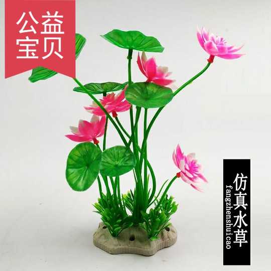 水草及肥料推荐 水草及肥料制作 水草及肥料使用方法 用法 淘宝海外 水草及肥料推荐 水草及肥料制作 水草及肥料使用方法 用法 淘宝海外