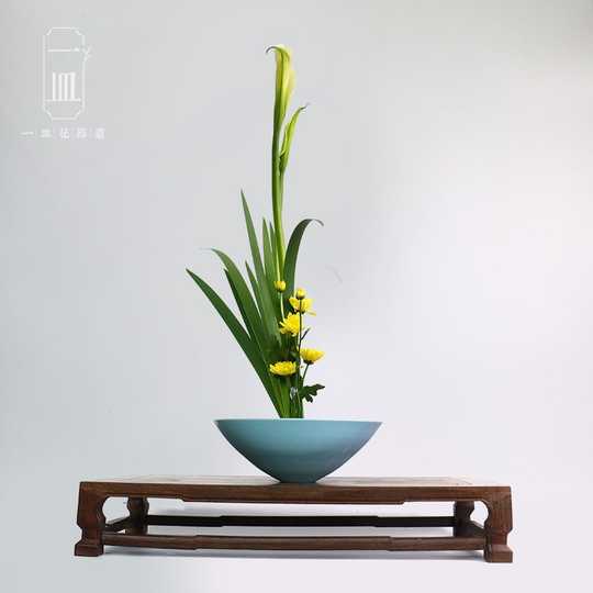 最新のhd冬 池坊 自由 花 最高の花の画像