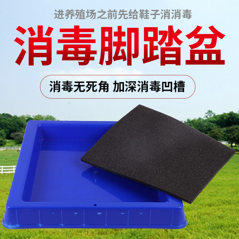 Disinfection Footbath