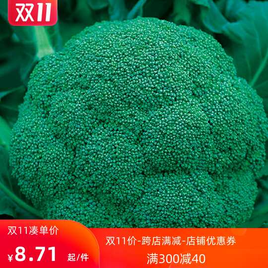 花椰菜种子新品 花椰菜种子价格 花椰菜种子包邮 品牌 淘宝海外
