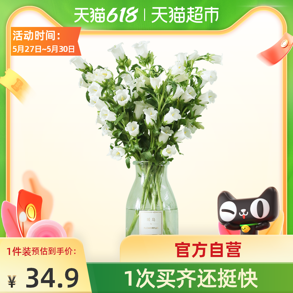 风铃草新品 风铃草价格 风铃草包邮 品牌 淘宝海外