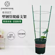 固定花架支柱价格 固定花架支柱种植 固定花架支柱图片 工程 淘宝海外
