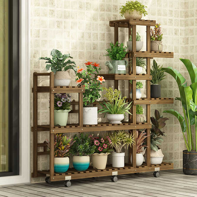 花园植物盆栽花 新人首单优惠推荐 21年3月 淘宝海外