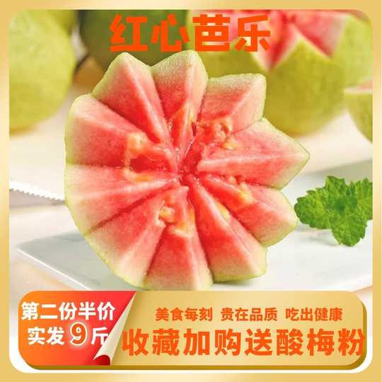 21 芭乐糖人气热卖榜推荐 淘宝海外 21 芭乐糖人气热卖榜推荐 淘宝海外