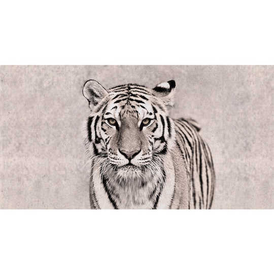 21 老虎壁纸壁画人气热卖榜推荐 淘宝海外