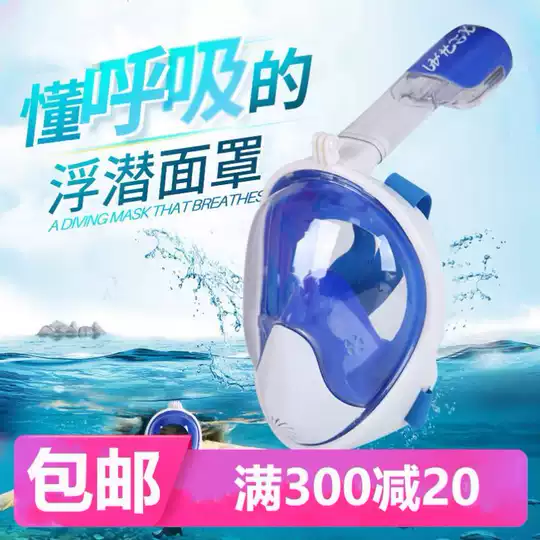 水中呼吸器潜水新品 水中呼吸器潜水价格 水中呼吸器潜水包邮 品牌 淘宝海外