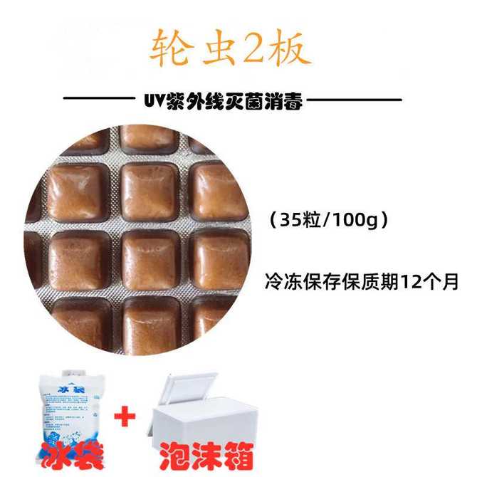 血虫鱼食 新人首单优惠推荐 21年3月 淘宝海外