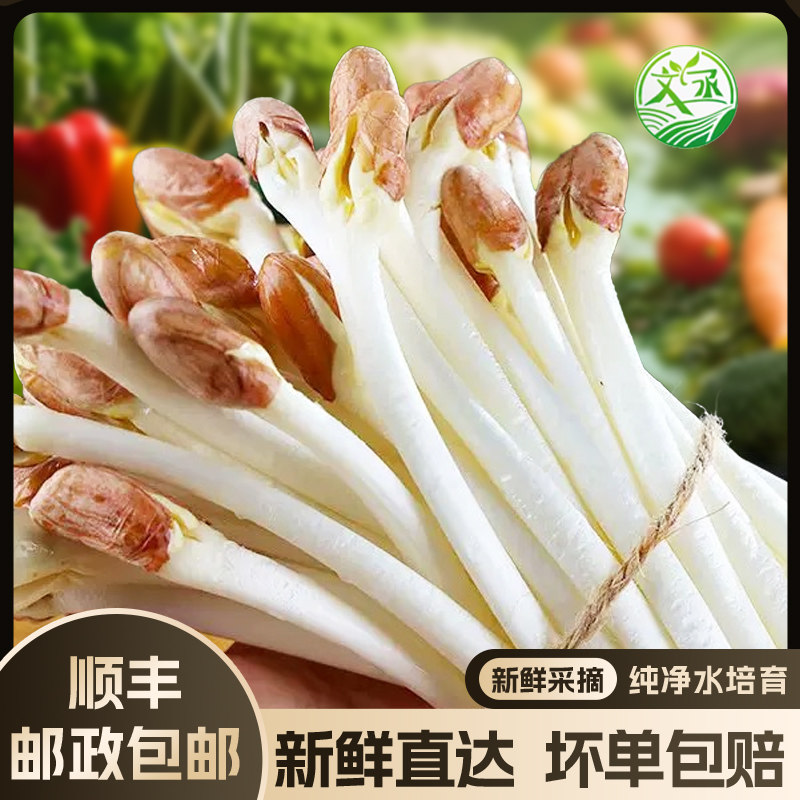 Fresh Sprouted Peanut Shoots 250g