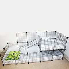 豚鼠笼子diy 新人首单立减十元 21年9月 淘宝海外