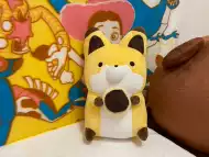 狐狸眼镜 新人首单优惠推荐 21年6月 淘宝海外