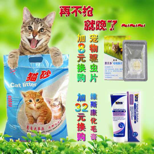 猫沙包图片 猫沙包卡通 猫沙包价格 价钱 淘宝海外
