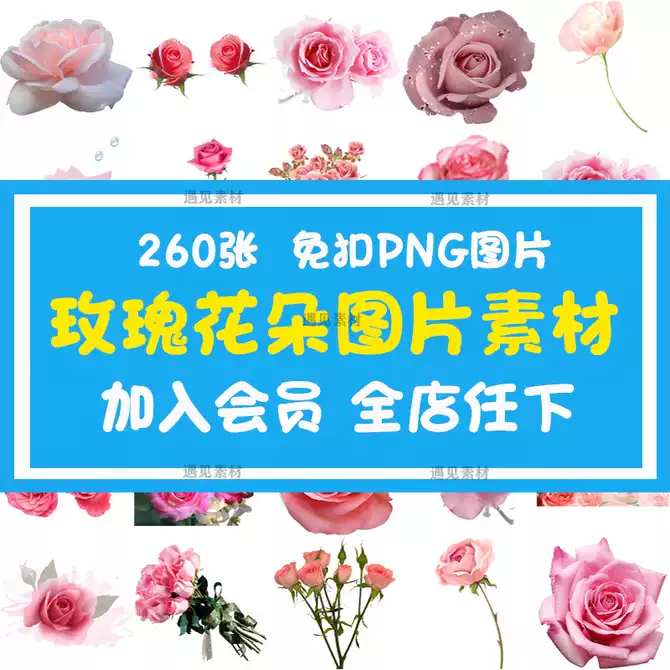 玫瑰花图片背景图 新人首单优惠推荐 21年3月 淘宝海外
