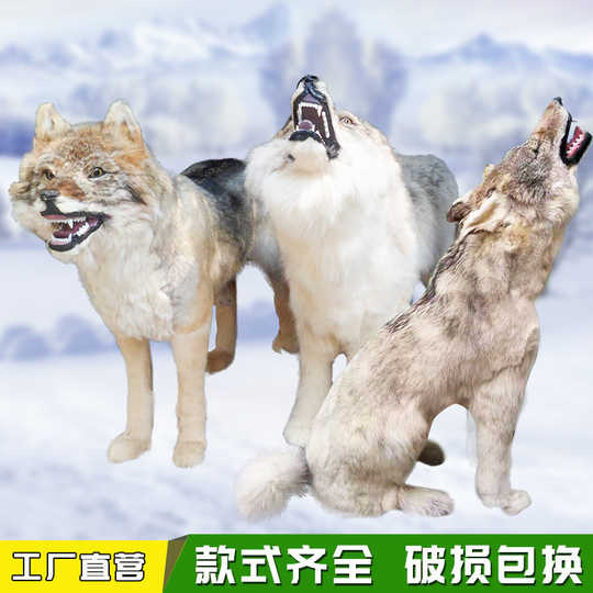 狼标本动物标本 新人首单优惠推荐 21年3月 淘宝海外