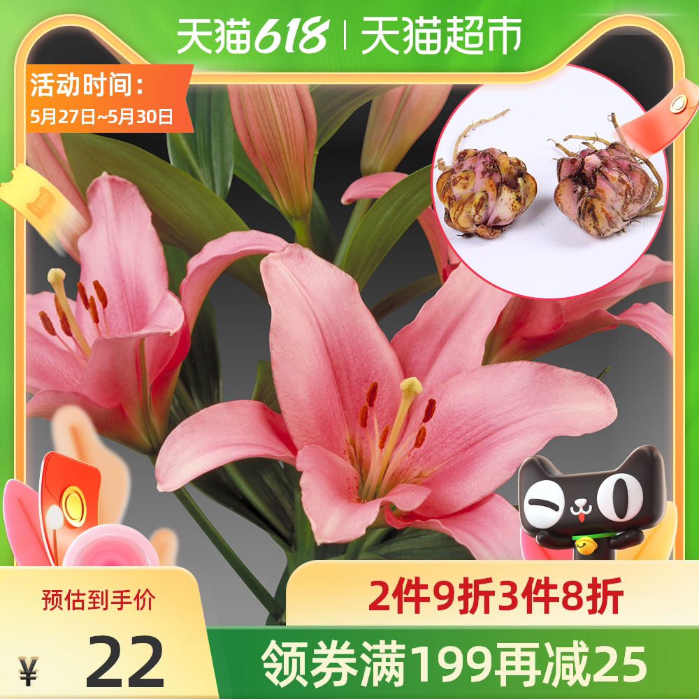 花坛种子新品 花坛种子价格 花坛种子包邮 品牌 淘宝海外